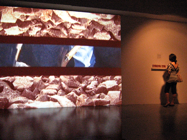 installation view